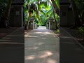 Miami Luxury Mansion Exterior 2026 | #Shorts