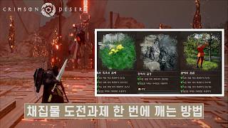 [Crimson Desert] How to Complete 3 Gathering Challenges at Once