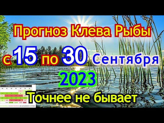 Клев ишим. Таро гороскоп на сентябрь 2023 Лев. Гороскоп на неделю июль 2023. Таро прогноз на июль 2023. Знаки зодиака стримеров.