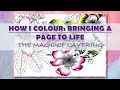 How i colour bringing pages to life  the magic of layering  adult colouring