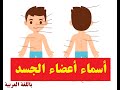اسامی اعضای بدن در زبان عربی أعضاء الجسد بالعربية      
