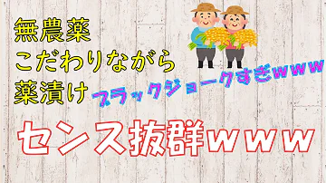 おーいお茶俳句面白すぎる Mp3