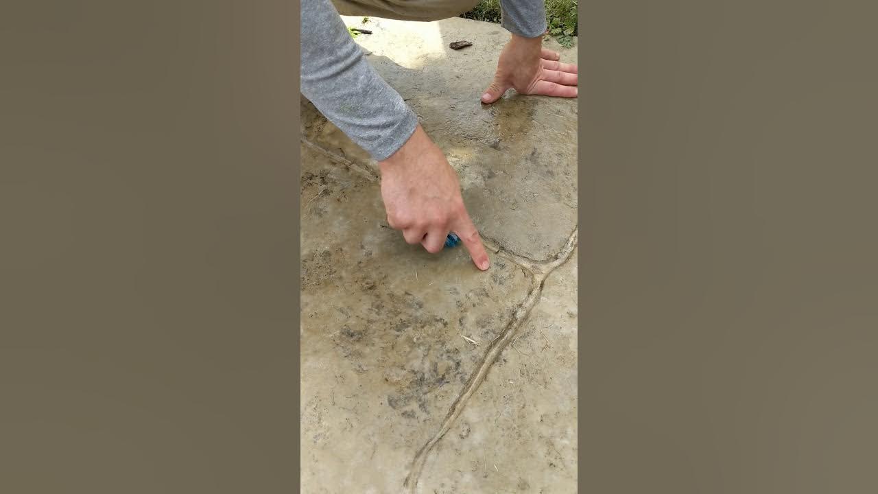 How to remove mulch dye YouTube