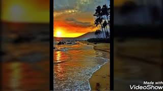 سورة النحل كاملة بصوت الشيخ ميثم التمار دقة متناهيه