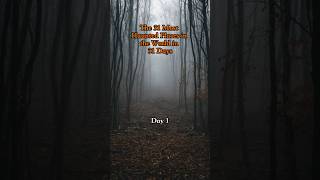 Is Hoia Baciu The Most Haunted Forest In The World?