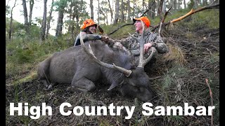 Sambar Deer Hunting Australian High Country