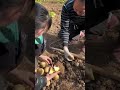 Planting Potatoes On The Farm #short #satisfying