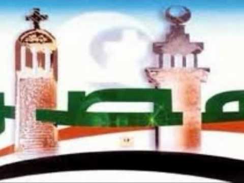 بقرة حاحا