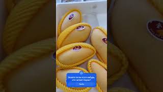 Мухаммад алъ факих ,шайх#коран#нашид#