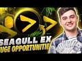 🚀Is Seagull EX the Best Investment Choice? | Global CopyFi Platform Review💥