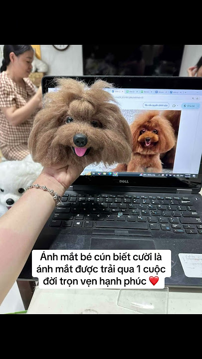 Ngay cả e không còn cả nhà vẫn thương em lắm 🥺 #petiesfriend #kyniemthucung #petloss