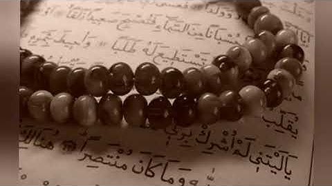 سورة النصر _ محمود عبدالحكم