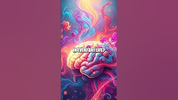 Unlocking the Secrets of Memory Formation