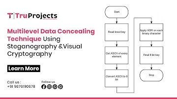 Multilevel Data Concealing Technique Using Steganography and Visual Cryptography