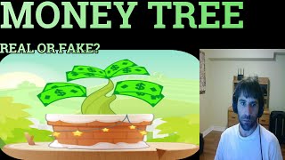 MONEY TREE. They make 2 tree growing games. Earn paypal. screenshot 2