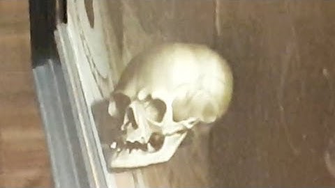 💀 Amazing illusion painting in 4K, The Ambassadors (1533), by Hans Holbein the Younger #art