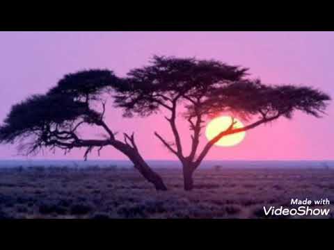 Wideo: Afryka I Bliski Wschód, Ląd [PICS] - Matador Network