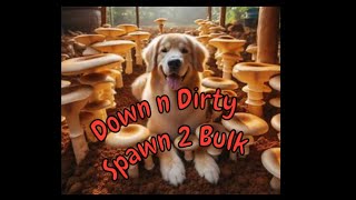 Real quick simple Spawn 2 Bulk.