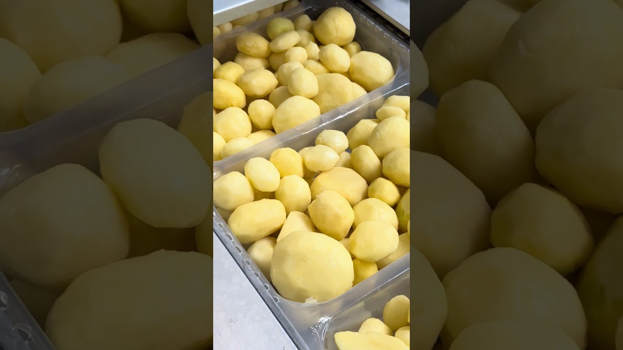 ▷ Multivac R 530 usadas en 66 clasificados ✓