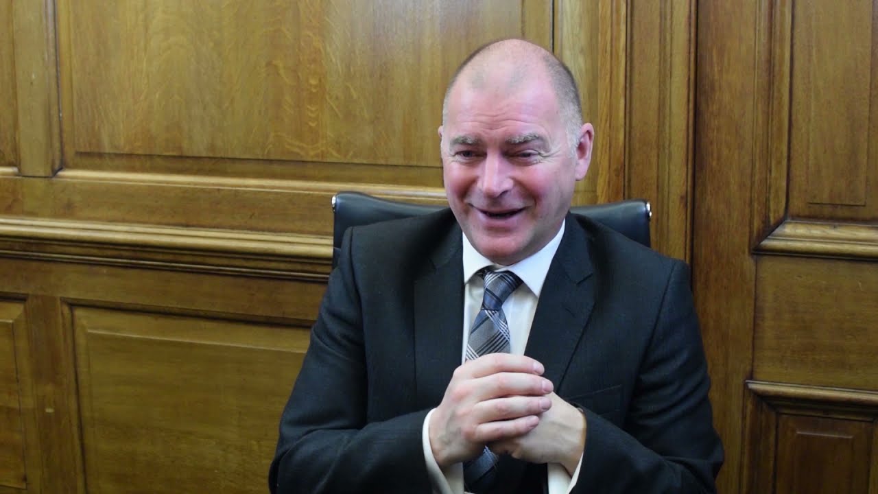 What types of insight can compliance deliver to benefit the wider business?