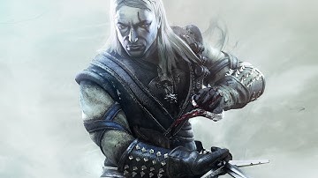 The Witcher - Modded Gameplay HD 1440p