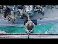 U.S. Marines - Tactical RHIB Boat Insertion Training