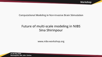 Future of multi-scale modeling in NIBS // NIBS workshop 2020