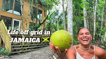 Life off grid in Portland Jamaica 🇯🇲