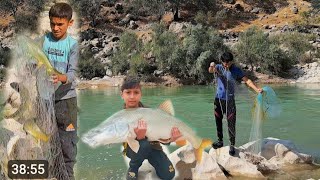 Download Lagu Fish hunting in a dangerous river: with Mahdi and Nima in search of countless fish catches MP3