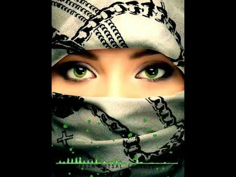 (Arabic Remix #Aashiqui You are the shadow to my life full song##///)