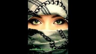 (Arabic Remix #Aashiqui You are the shadow to my life full song##///)