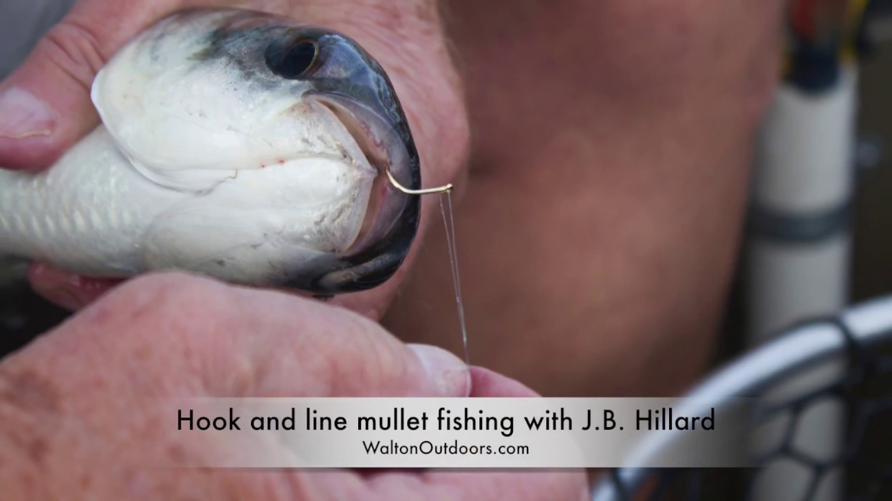 Mullet fishing around the Choctawhatchee estuaries 