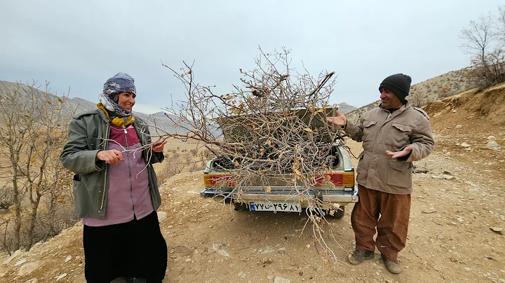 Winter Preparation: Can we get enough fuel for our new stove before the snow falls?