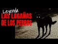 La Leyenda de &quot;Las Lagañas de Los Perros&quot;