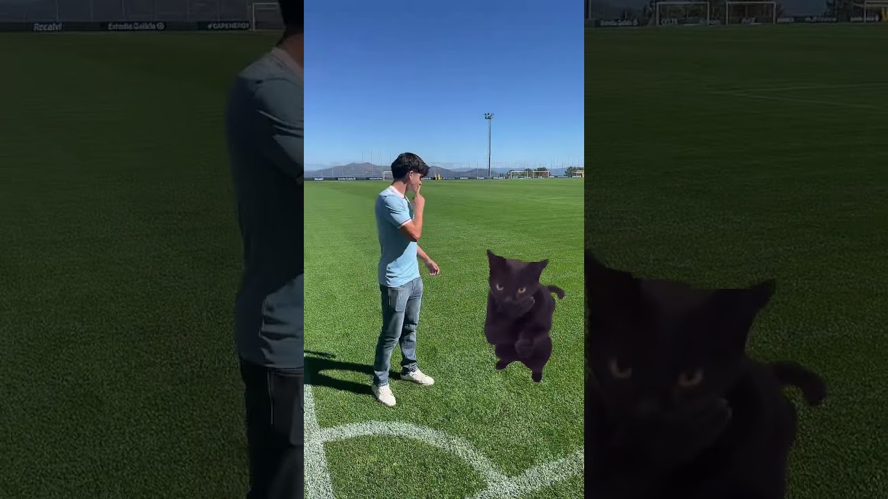 Shhhhh 🤫😸