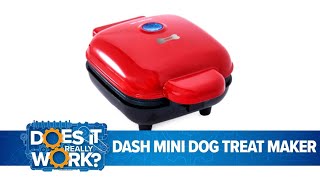 DASH Mini Dog Treat Maker Review 🦴 