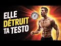 Cette Habitude Détruit Ta Testostérone Et Ce N Est PAS Le Porno Cette Habitude Détruit Ta Testostérone Et Ce N Est PAS Le Porno