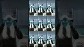 Detyaa  tya  Pota Pota  Copines Yang Lagi Viral Di Tiktok