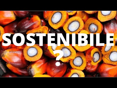 Video: Da dove viene l'olio di palma sostenibile?