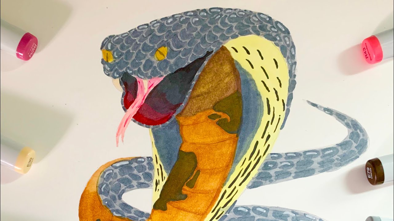 Realistic King Cobra Drawing