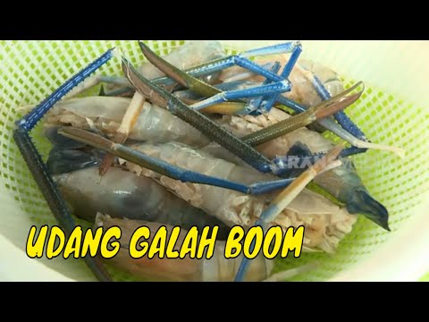 Membuat Udang Galah Masak Boom 