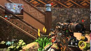 First PM 60 fps hitmarker