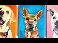 Painting Your Dog in Acrylics | Easy Beginner Level