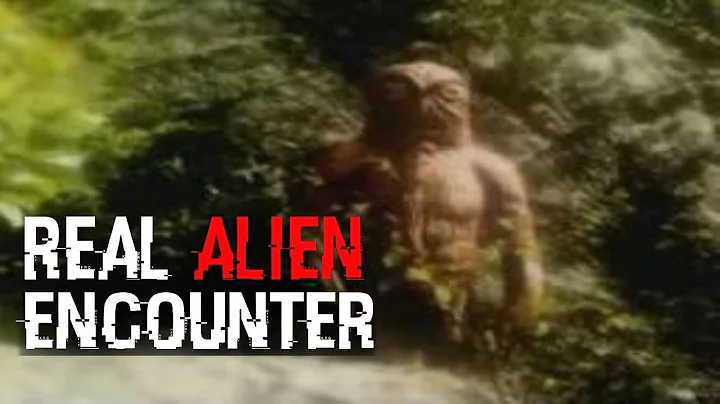 Real Insane Alien Encounter