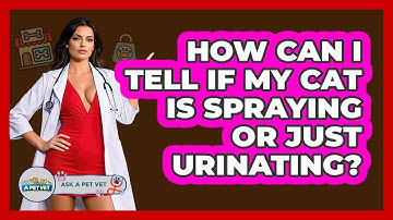 How Can I Tell If My Cat Is Spraying Or Just Urinating? - Ask A Pet Vet