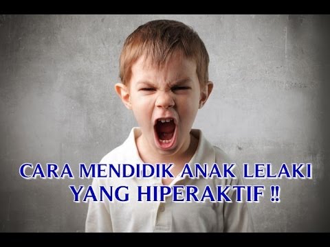  CARA MENDIDIK ANAK LELAKI  2 TAHUN YANG HIPERAKTIF MENJADI 