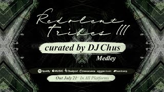 RDT036 Redolent Tribes Vol.3 - curated by DJ Chus Resimi