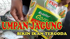#UMPANJITU UMPAN JAGUNG BAKAR SIMPLE || SEMUA IKAN PASTI SUKA - Durasi: 4.06. 