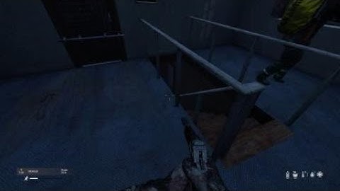 A strange encounter - DayZ