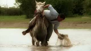 Mi Caballo y yo - Cholo Valderrama chords